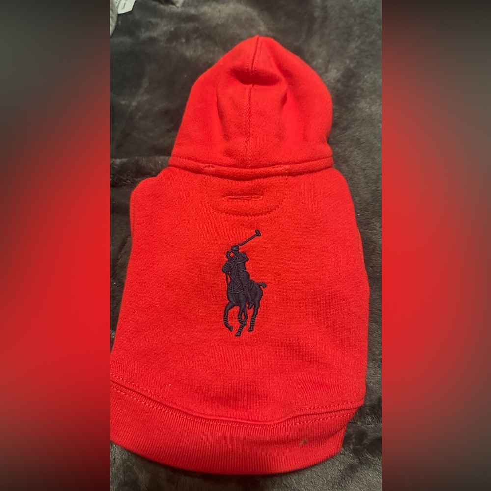 The cutest little dog hoodie